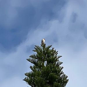 Meet your Posher, Minhee